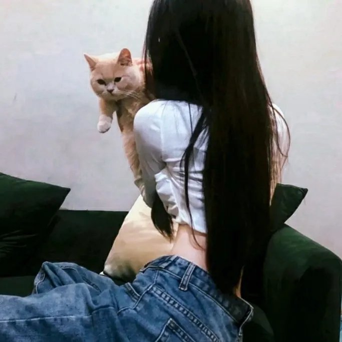 全球佳片