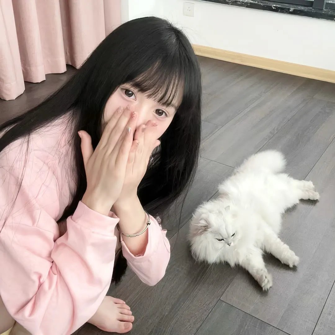 动画家庭